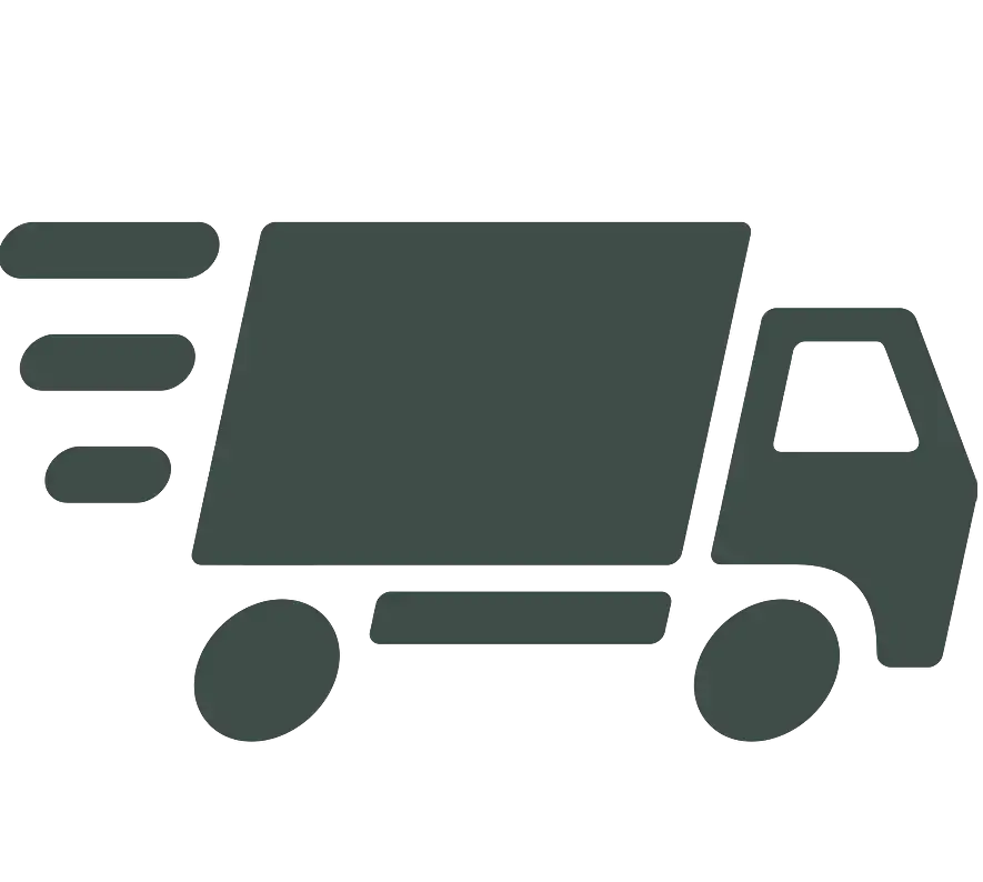 same-day-service-icon